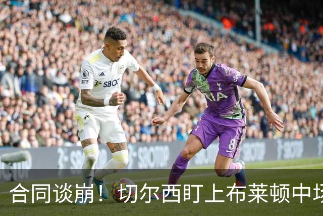 合同谈崩！切尔西盯上布莱顿中场，加拉塔萨雷来抢